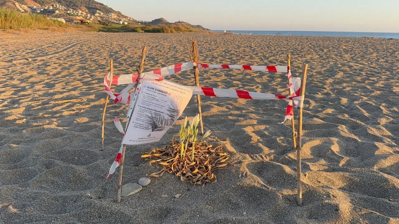 Nesli Tükenen Bu Bitkiye Koparmanın Cezası: 557 bin TL