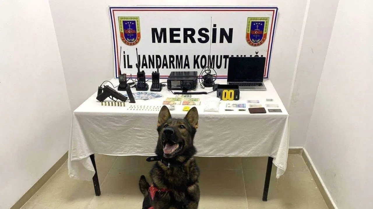 Jandarma, Uyuşturucu Ticareti Yapan Şüpheliyi Suç Unsurlarıyla Birlikte Yakaladı