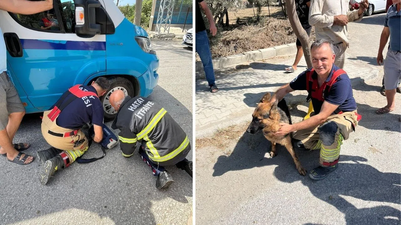 Minibüsün Altında Sıkışan Köpek İtfaiye Tarafından Kurtarıldı