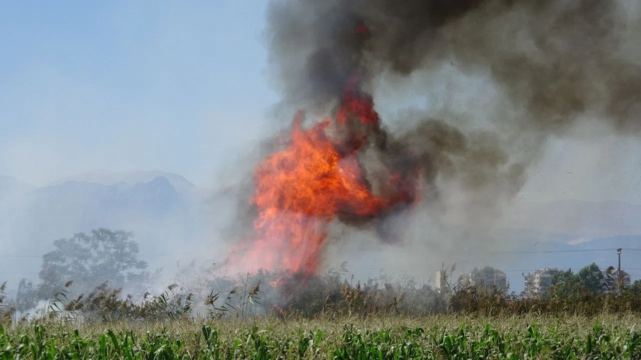 Mısır Ekili Tarlada ve Kargılıkta Çıkan Yangın Söndürüldü