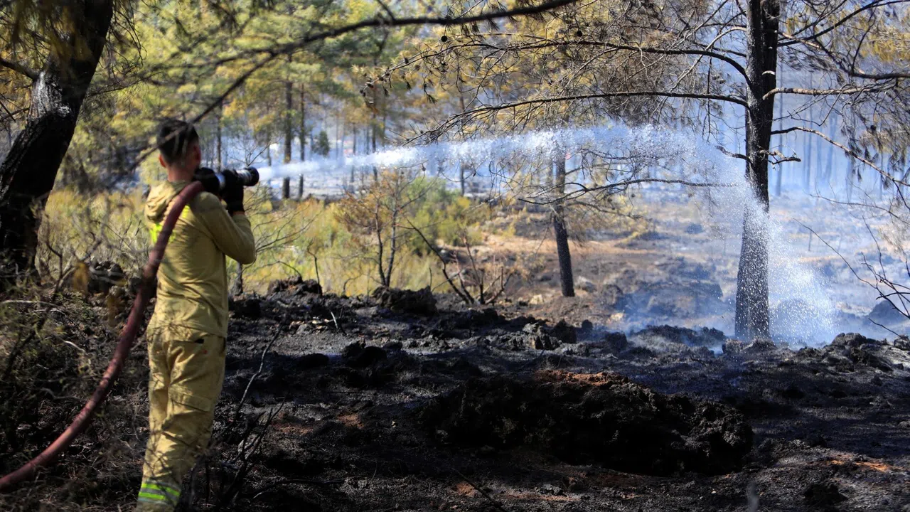Orman Yangını Hızlı Müdahaleyle Kontrol Altına Alındı