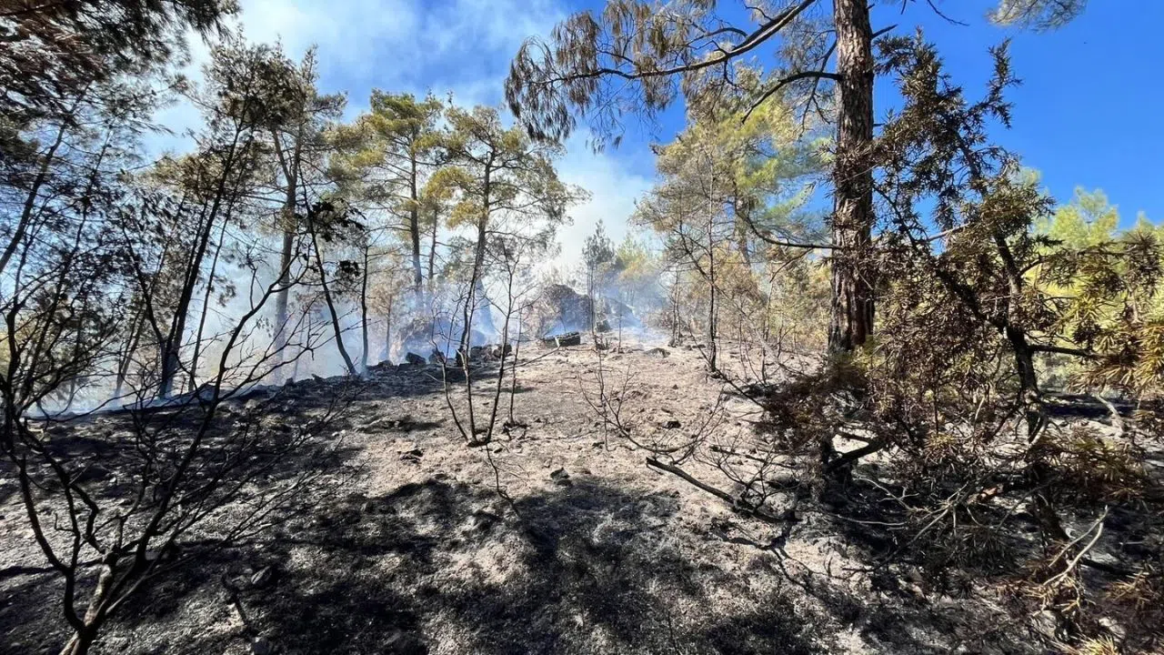 Orman Yangınına Havadan ve Karadan Müdahale