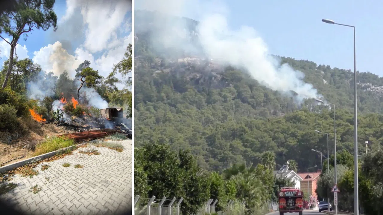 Ormanda Çıkan Yangın Kısa Sürede Kontrol Altına Alındı