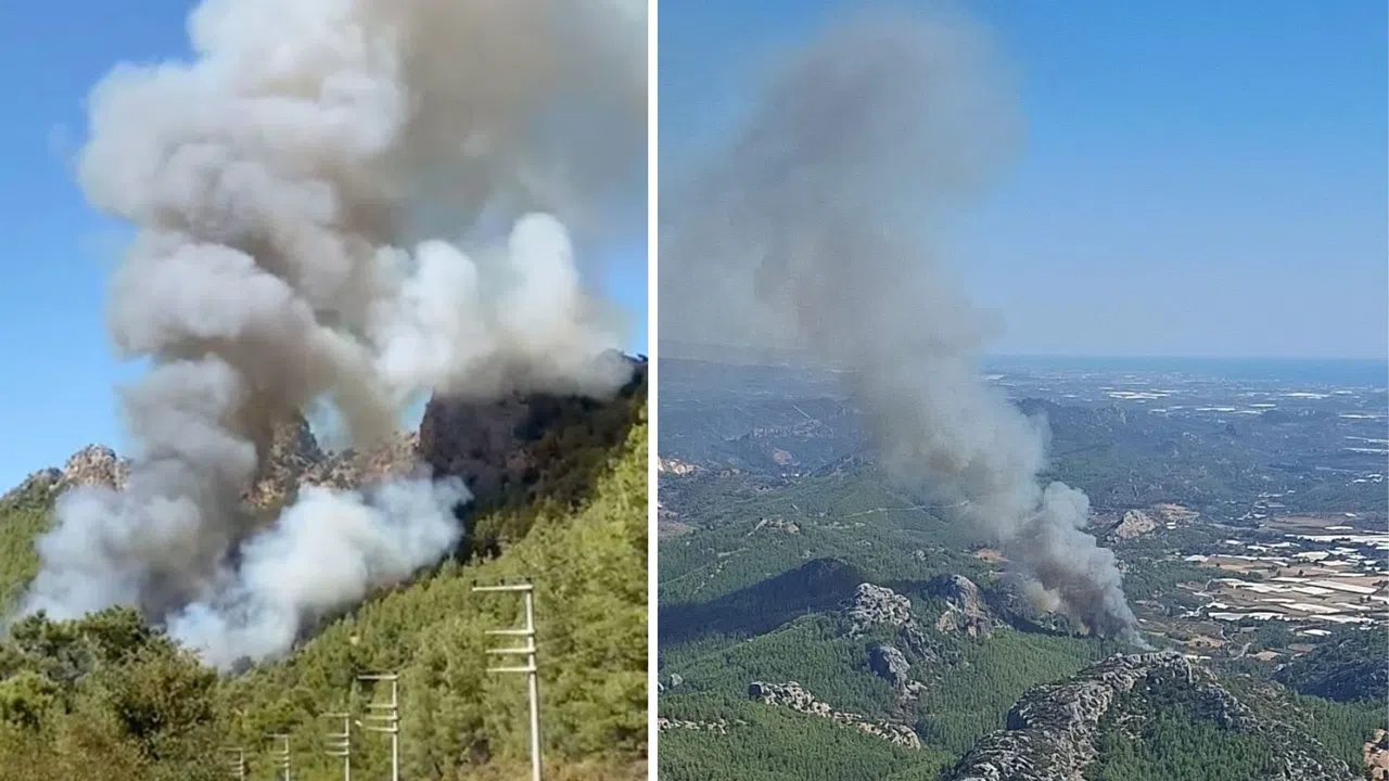 Ormanlık Alanda Çıkan Yangına Müdahale Sürüyor