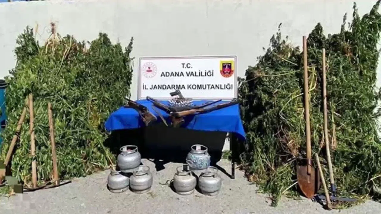 Ormanlık Alanda Uyuşturucu Operasyonu: 2 Gözaltı