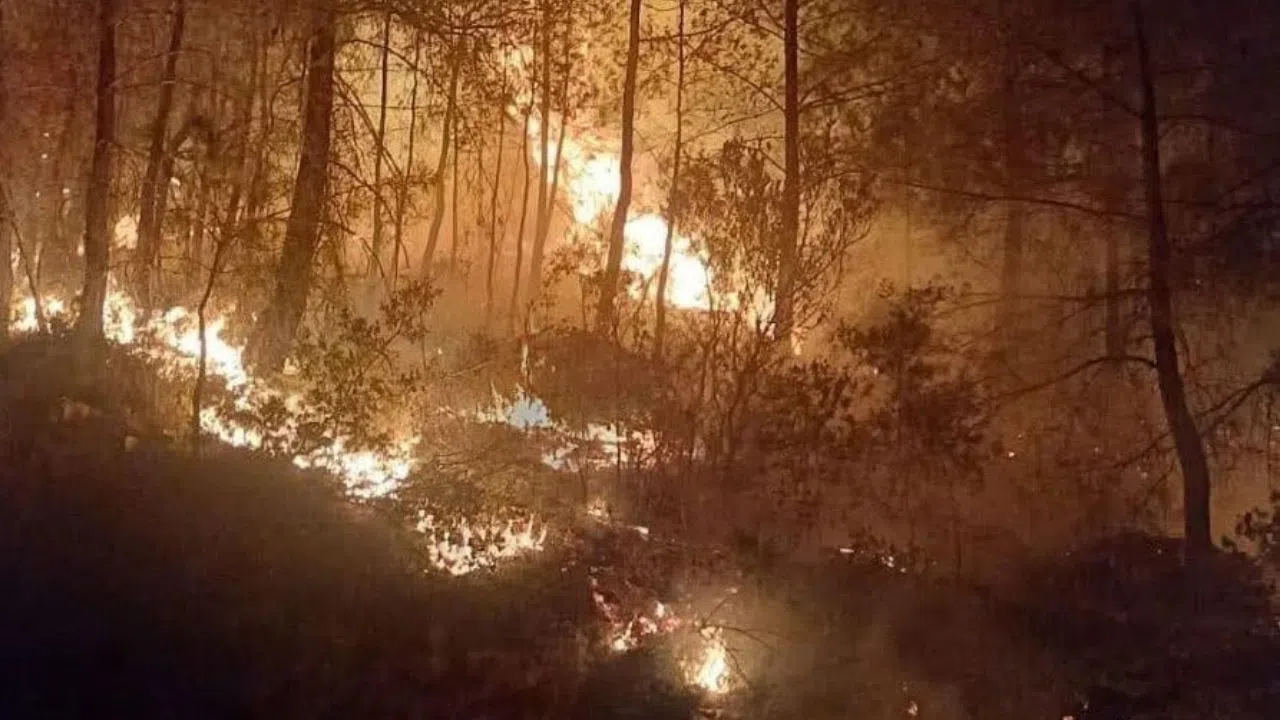 Ormanlık Alandaki Alevler Bir Saatte Kontrol Altına Alındı