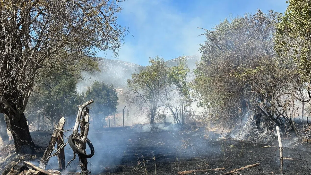 Otluk Yangını Kısa Sürede Kontrol Altına Alındı