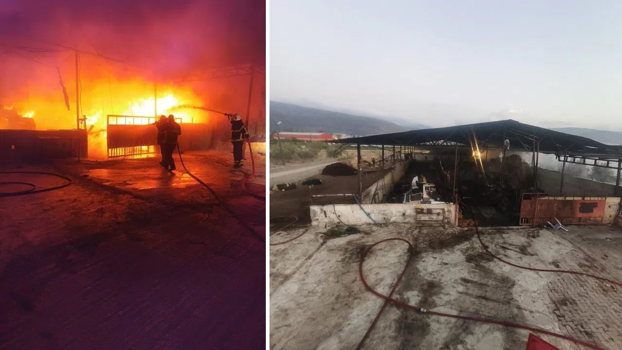 Samanlık Yangını İtfaiyenin Müdahalesiyle Söndürüldü