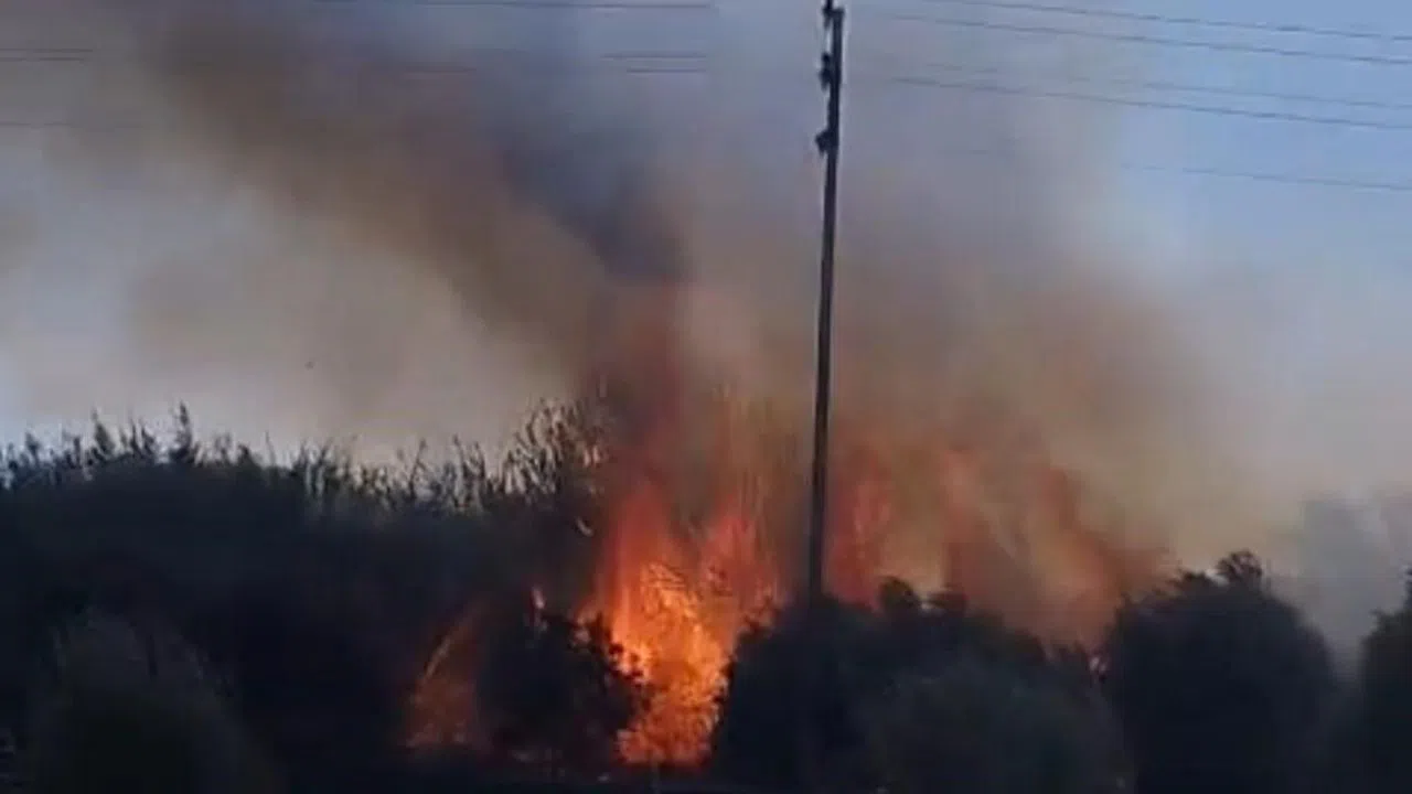 Sazlık Alanda Çıkan Yangın Bahçelere Sıçramadan Söndürüldü