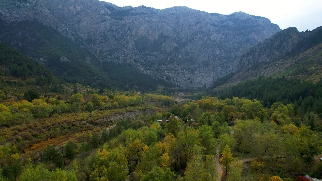 Tabiat Parkında Sonbahar Renk Cümbüşü Başladı