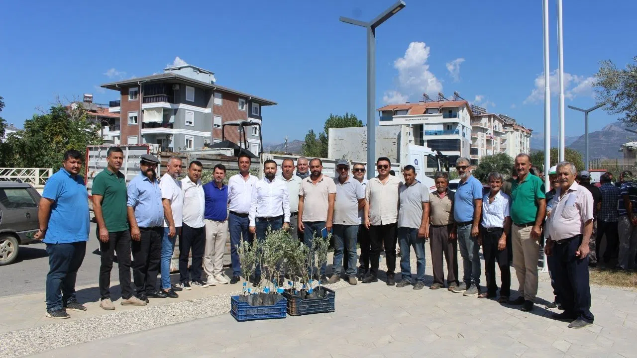 Tarımsal Kalkınmaya Katkı İçin Binlerce Zeytin Fidanı Toprakla Buluştu