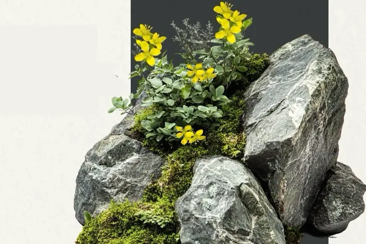 Tüylü Kekreçiçeği Türkiye Florasına Katıldı