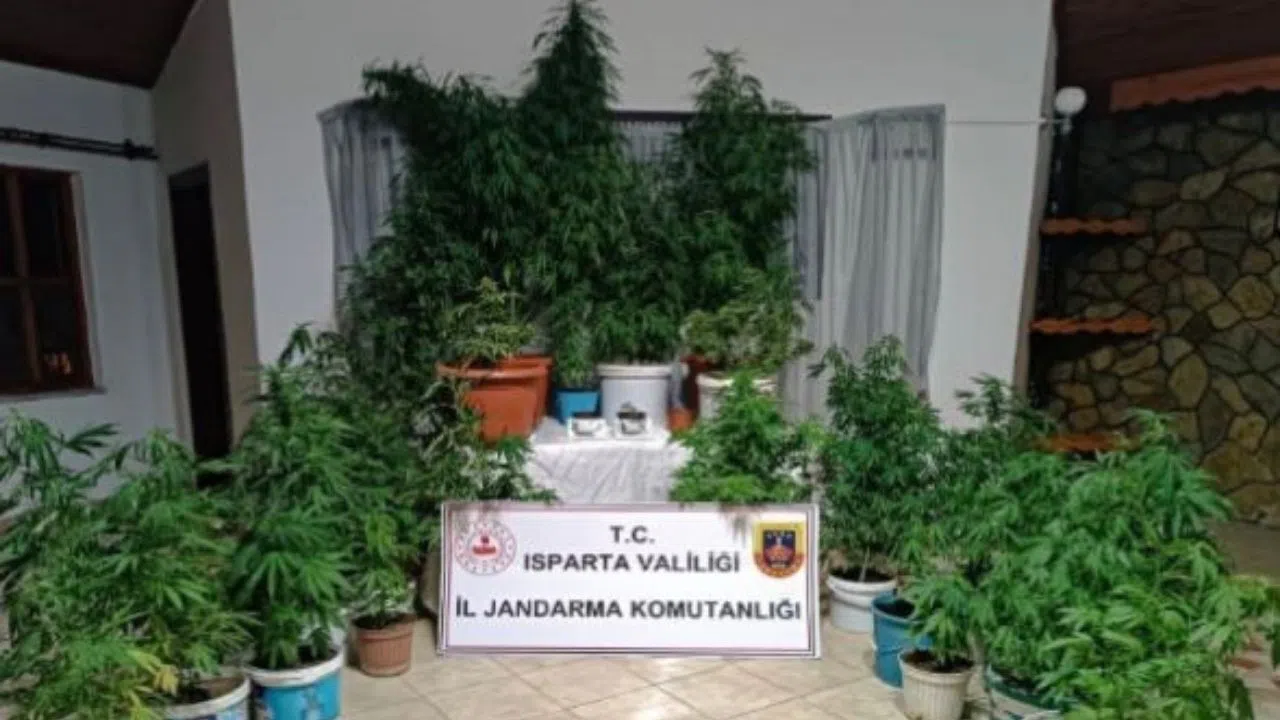 Yasaklı Madde Operasyonu