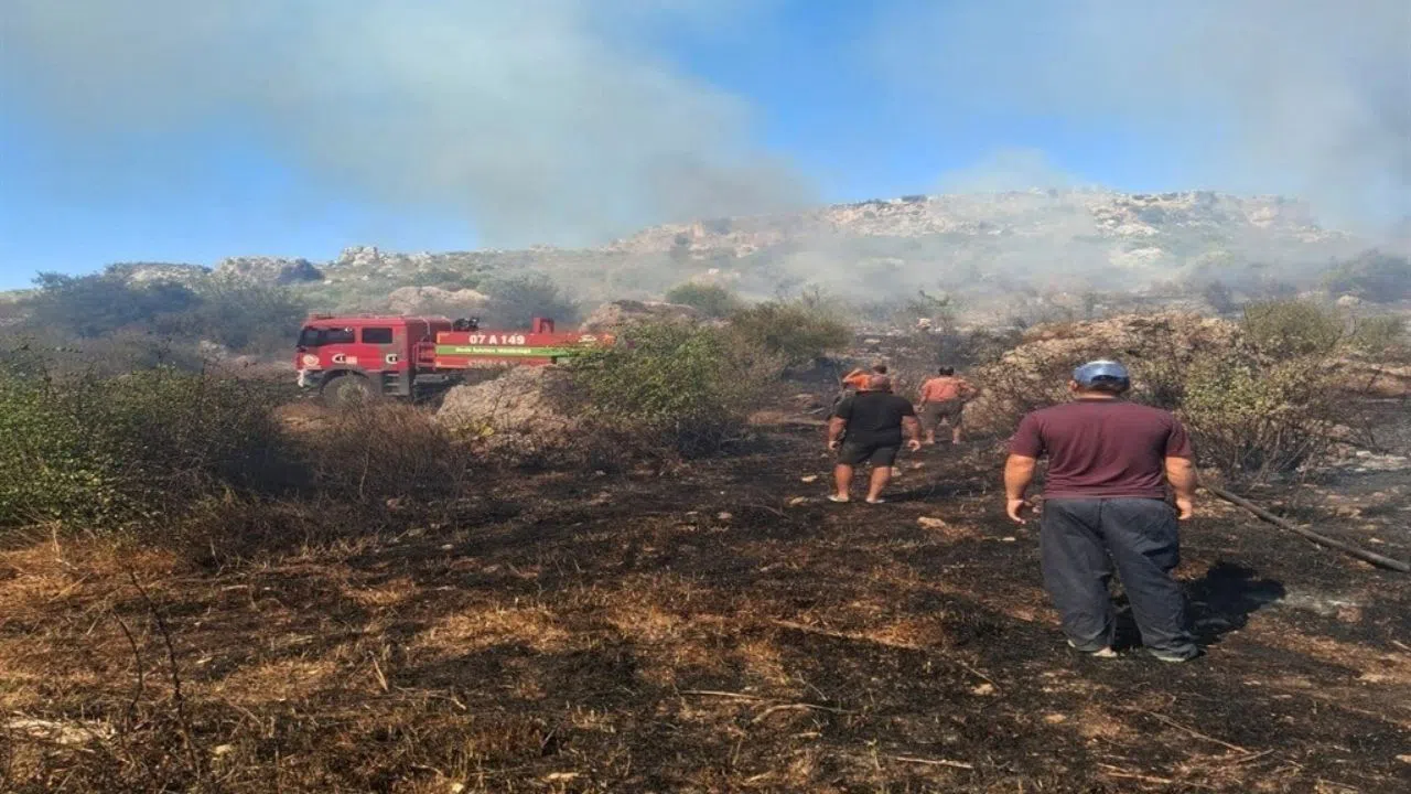 Zeytinlik Alanda Çıkan Yangın 1 Saatte Söndürüldü