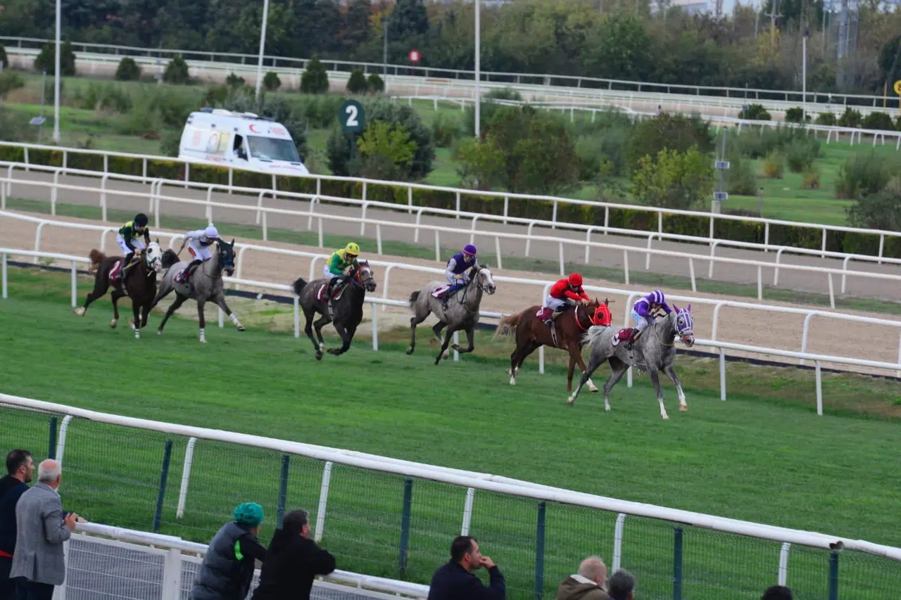 2025 AGSYD Kupası'nı 'Demrenin Kızı' kazandı