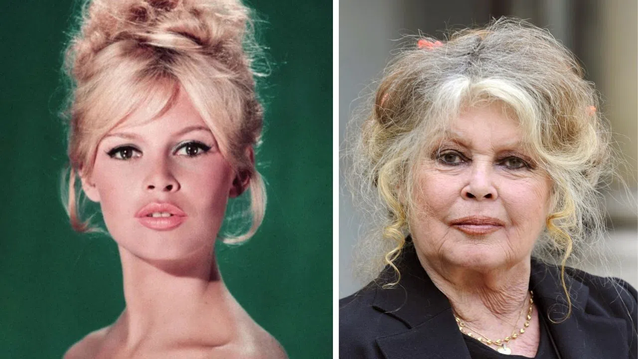 Brigitte Bardot Hakkındaki Ölüm Haberleri Nereden Çıktı?