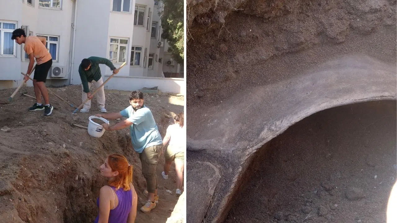 Dev Fin Balinası Bilimsel Kazıyla Gün Yüzüne Çıkıyor