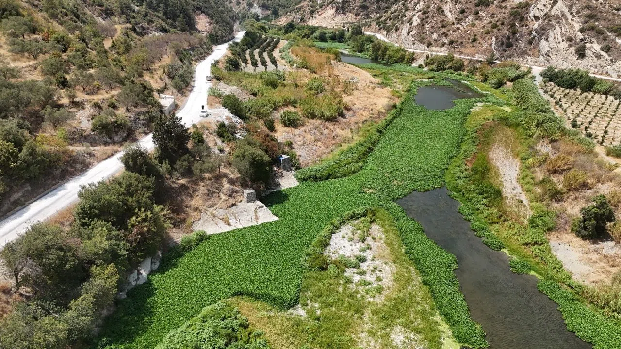 Doğa Harikası mı, Ekolojik Tehdit mi?