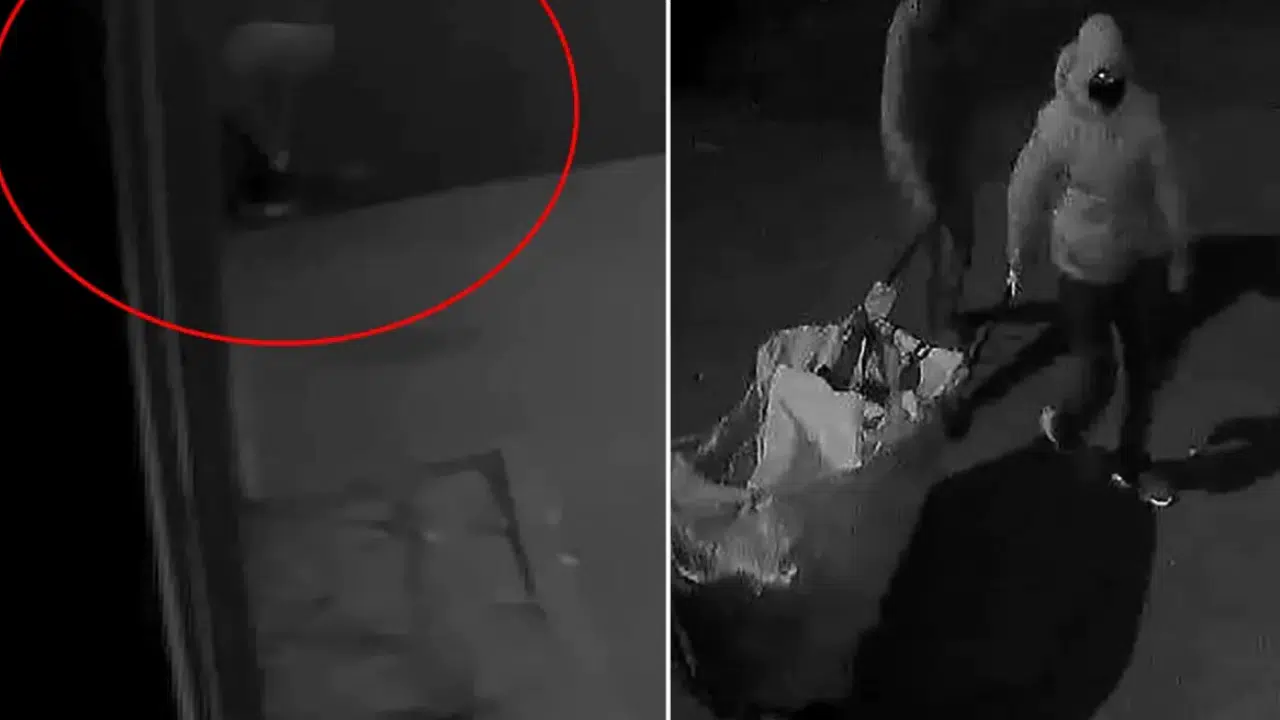 İlginç Detay Suçu Ortaya Çıkardı: Polis DNA İzinden Faili Buldu!