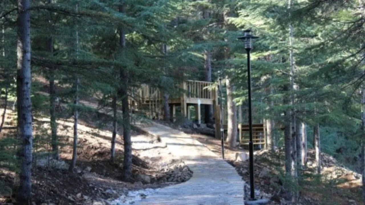 Kahramanmaraş’ın Doğal Cenneti: Yavşan Yaylası Tabiat Parkı