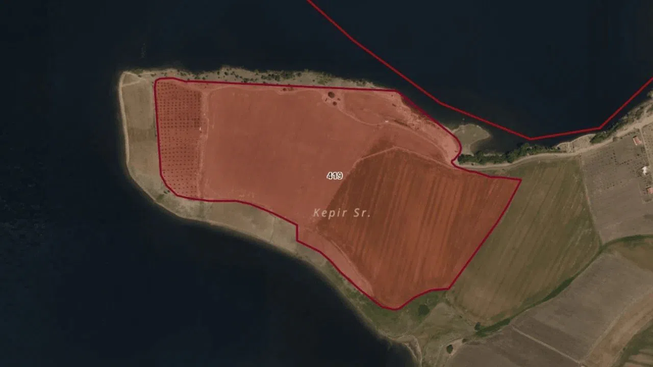 Kahramanmaraş'ta 118 Bin m² Tarla ve Zeytinlik Satışa Çıkıyor!