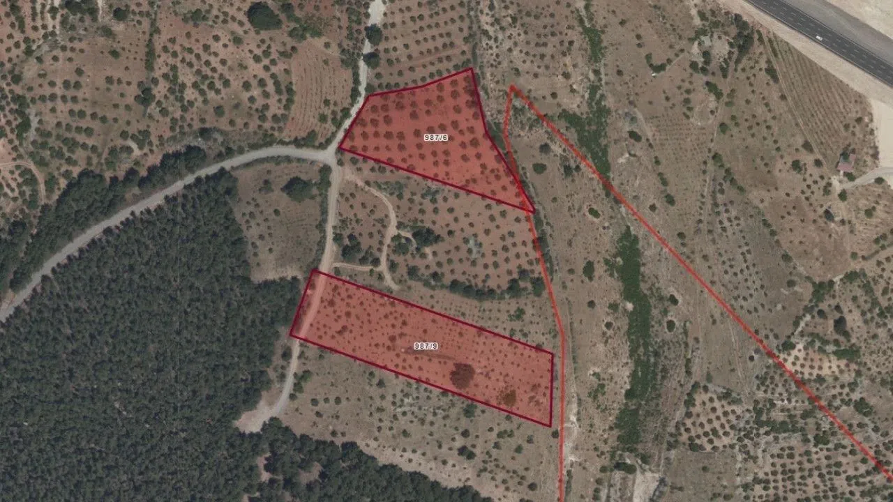 Kahramanmaraş’ta 6.943 Metrekarelik Verimli Arsa Açık Artırmaya Çıkıyor