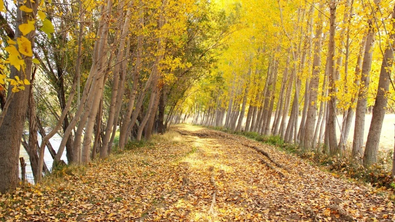 Kahramanmaraş’ta Göksun Sonbahar Renklerine Büründü