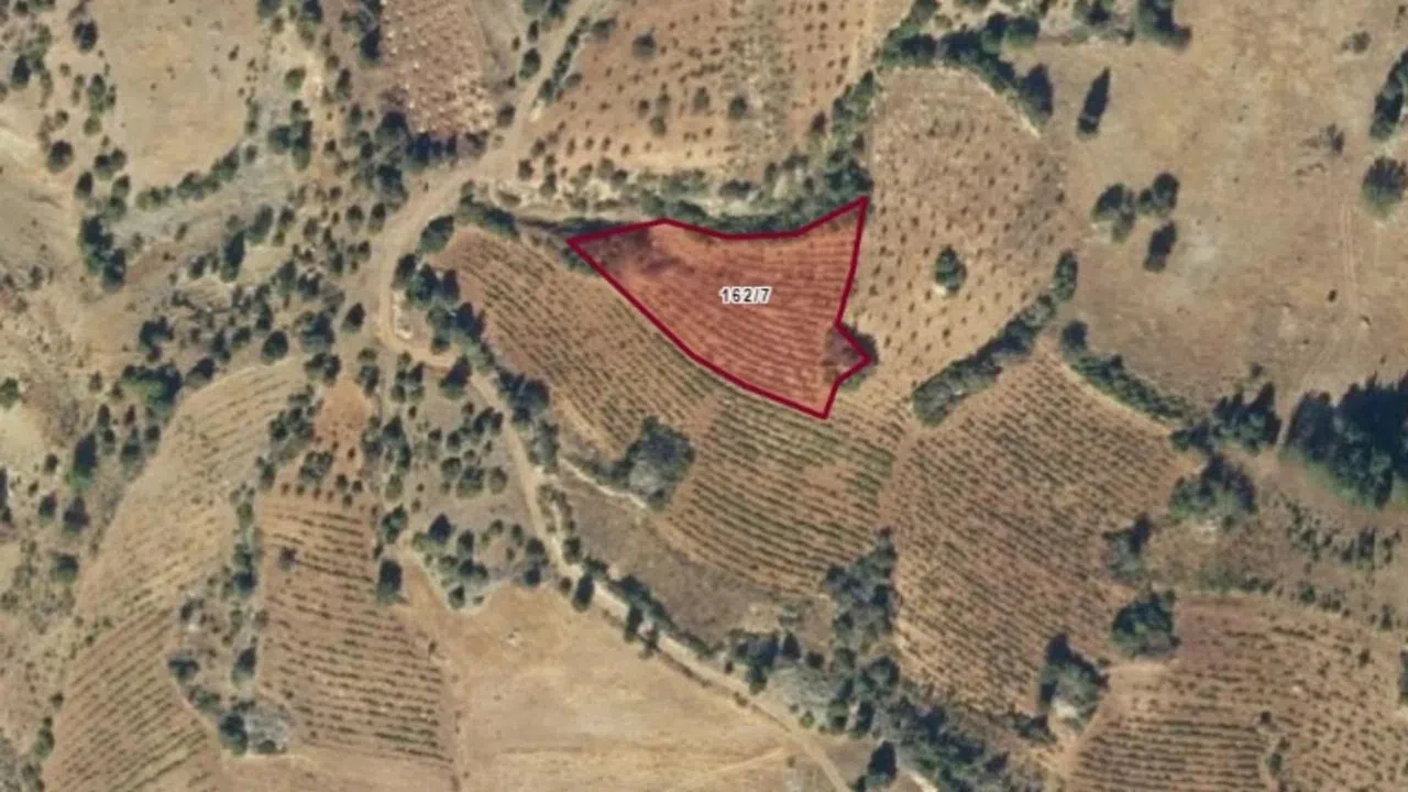 Kahramanmaraş’ta Yatırımcılar İçin Satılık Bağ Fırsatı