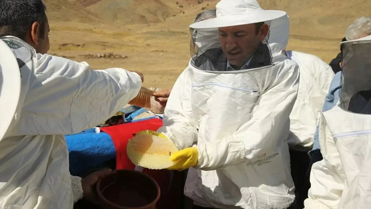 Kara Kovan Balında Bereketli Hasat Başladı