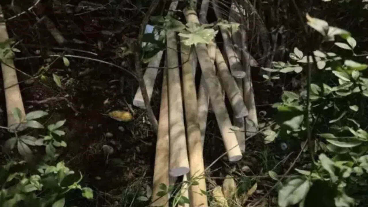 Karadağ'da Türklere Saldırı Hazırlığı! Her Yere Saklamışlar