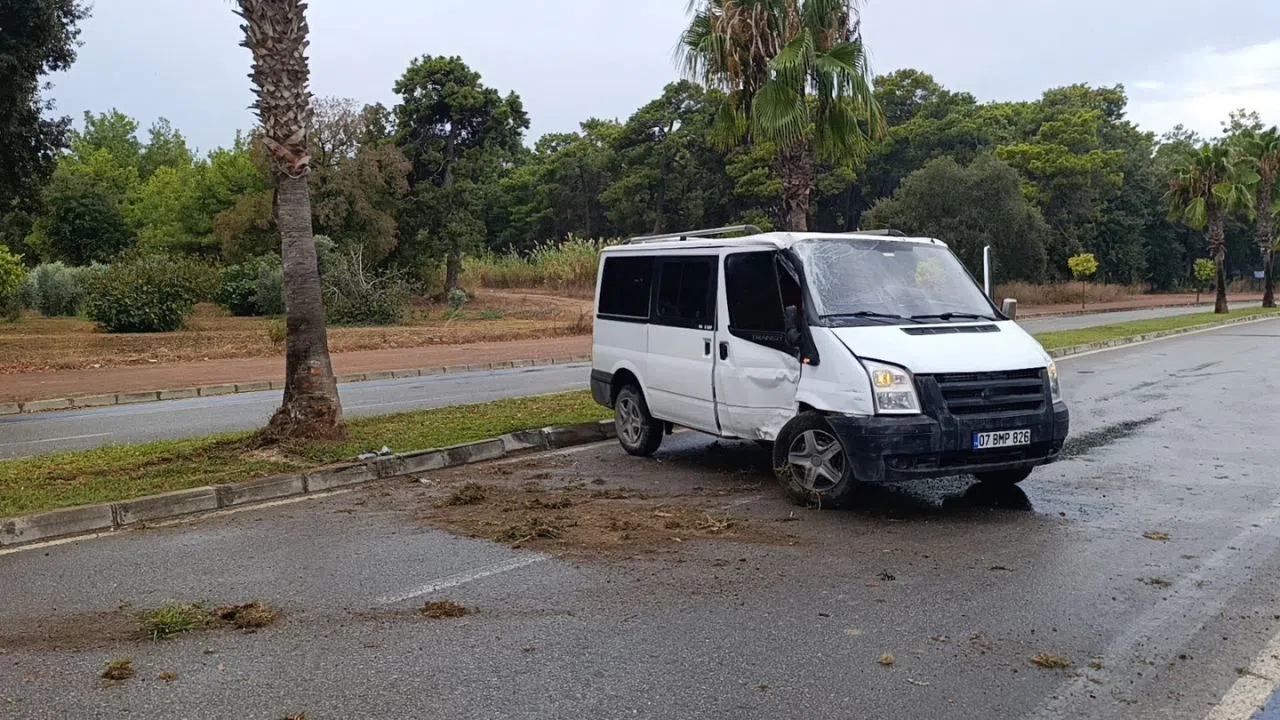 Kaygan Yolda Kontrolden Çıkan Kamyonet Palmiyeye Çarptı