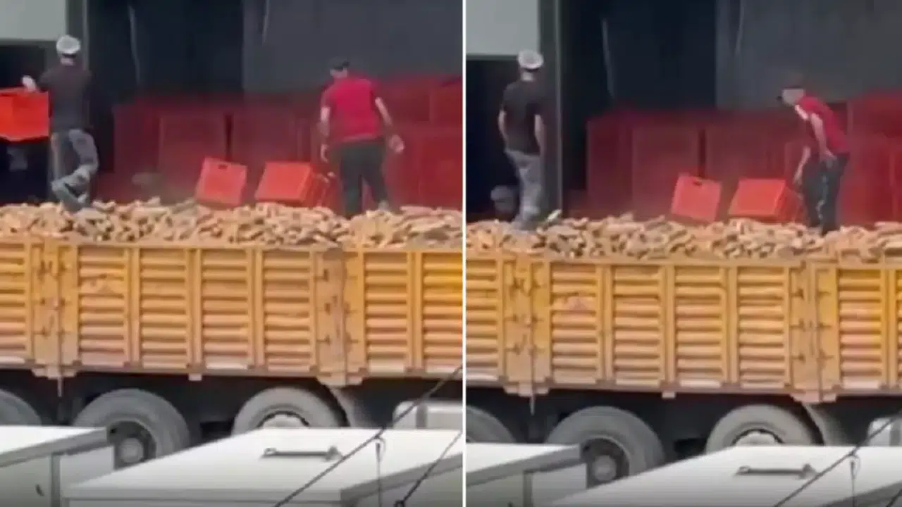 Belediyeye Ait Fırında Tepki Çeken Görüntüler Gündemde!