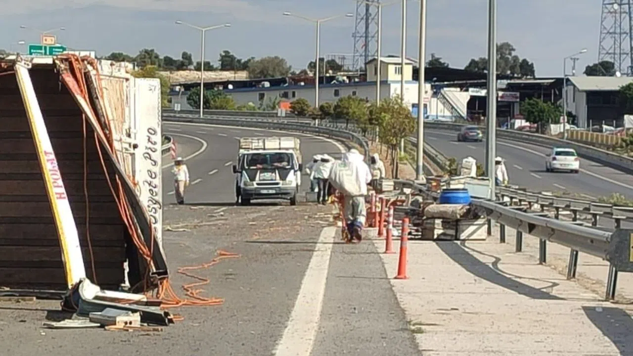 Kovan Yüklü Kamyon Devrildi, Binlerce Arı Saçıldı ve 3 Kişi Yaralandı