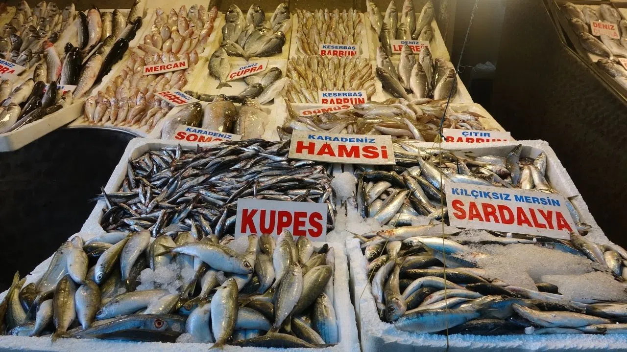 Balık Sezonu Bereketli Başladı, Fiyatlar Uygun Seyrediyor