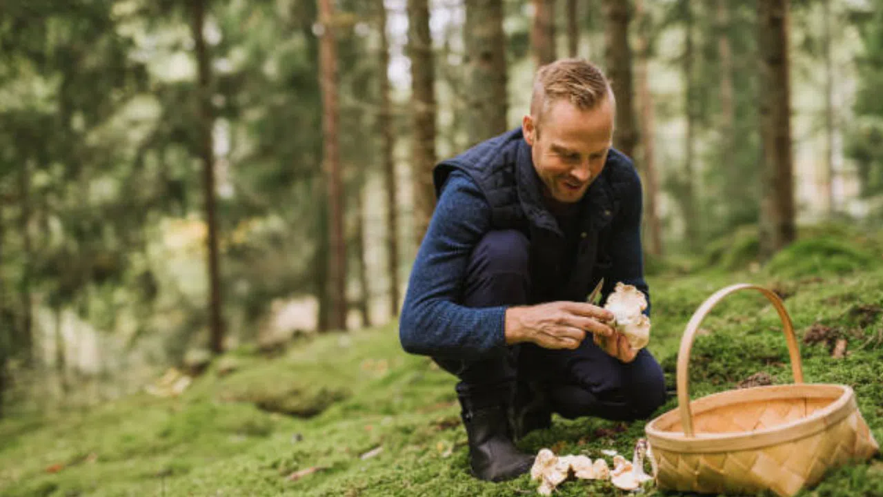 Mantar Toplarken Ölümle Burun Buruna Geldi !