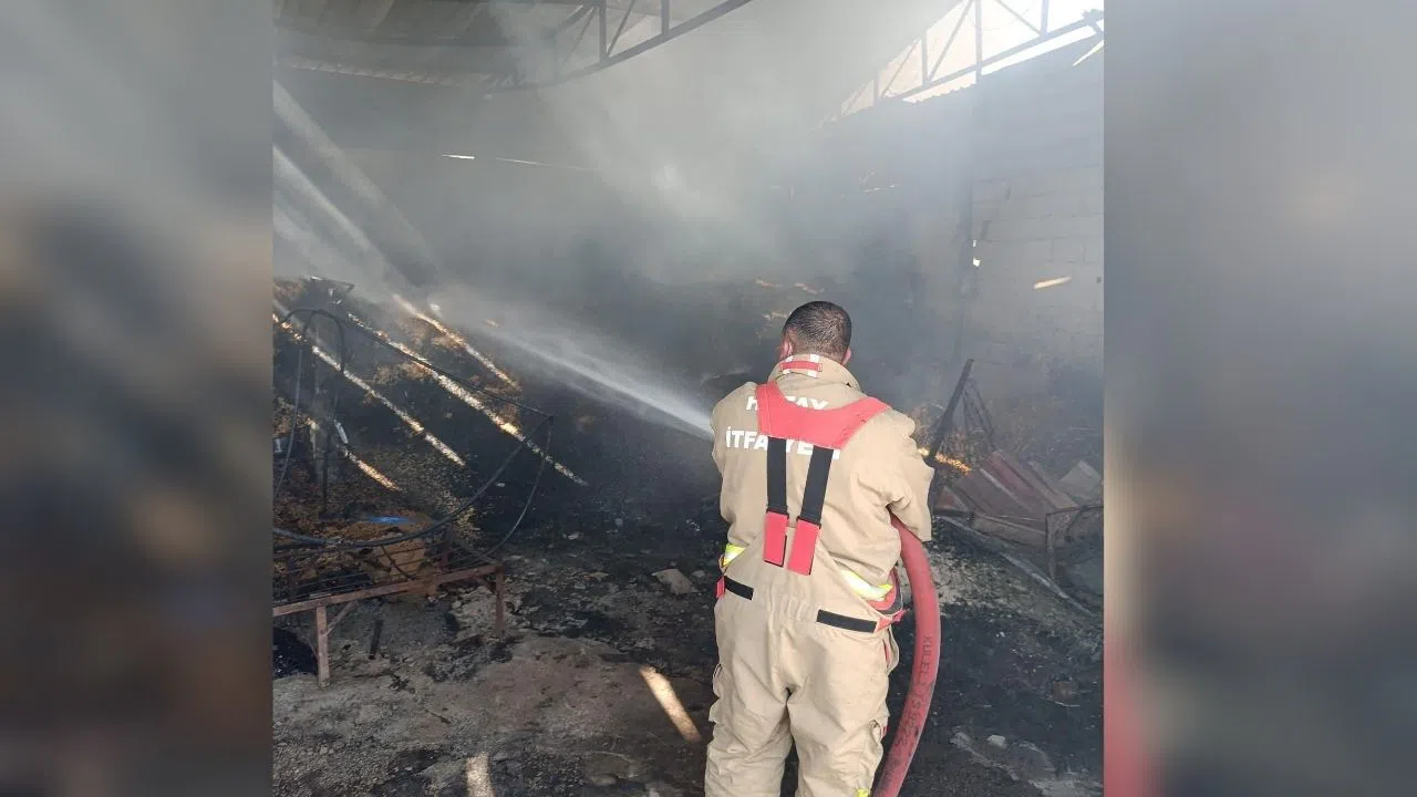 Samanlıkta Çıkan Yangın Kısa Sürede Kontrol Altına Alındı