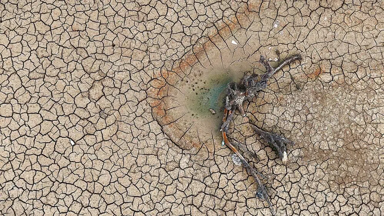 Kahramanmaraş'ta Barajlar Alarm Veriyor: Doluluk Oranı Sadece %1'e Düştü