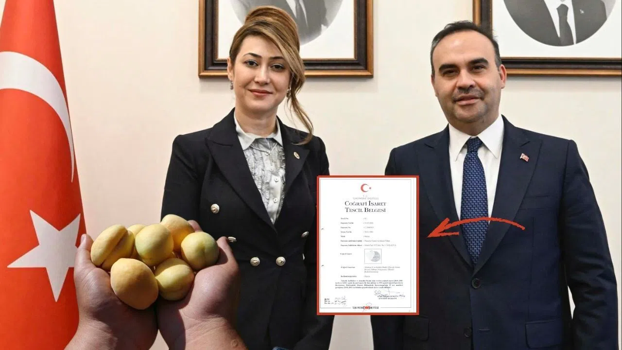 Vekil Karakoç; “Elbistan Kayısısının Hakkını Sonuna Kadar Savunacağız”