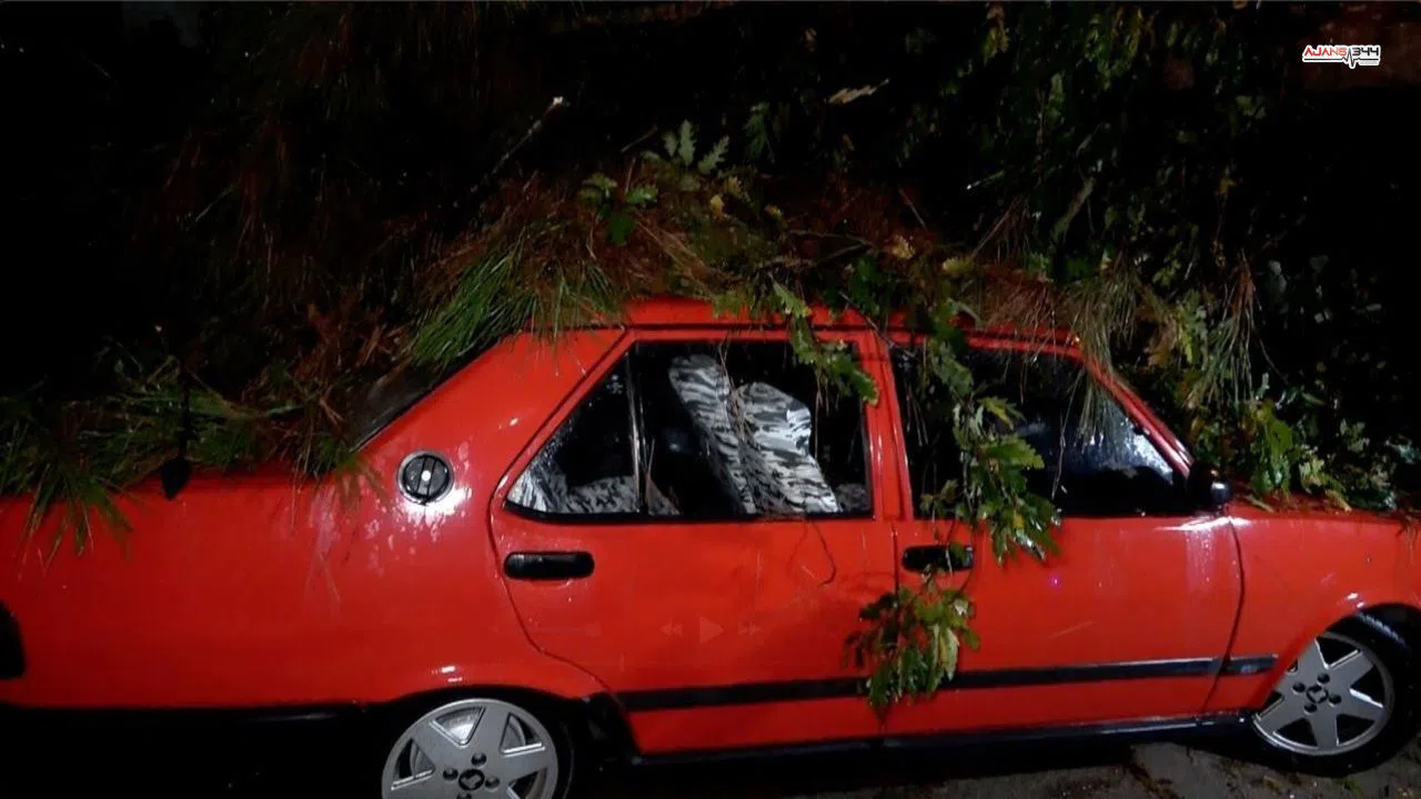 Şiddetli Rüzgar Ağacı Devirdi, 2 Araç ve Bina Etkilendi