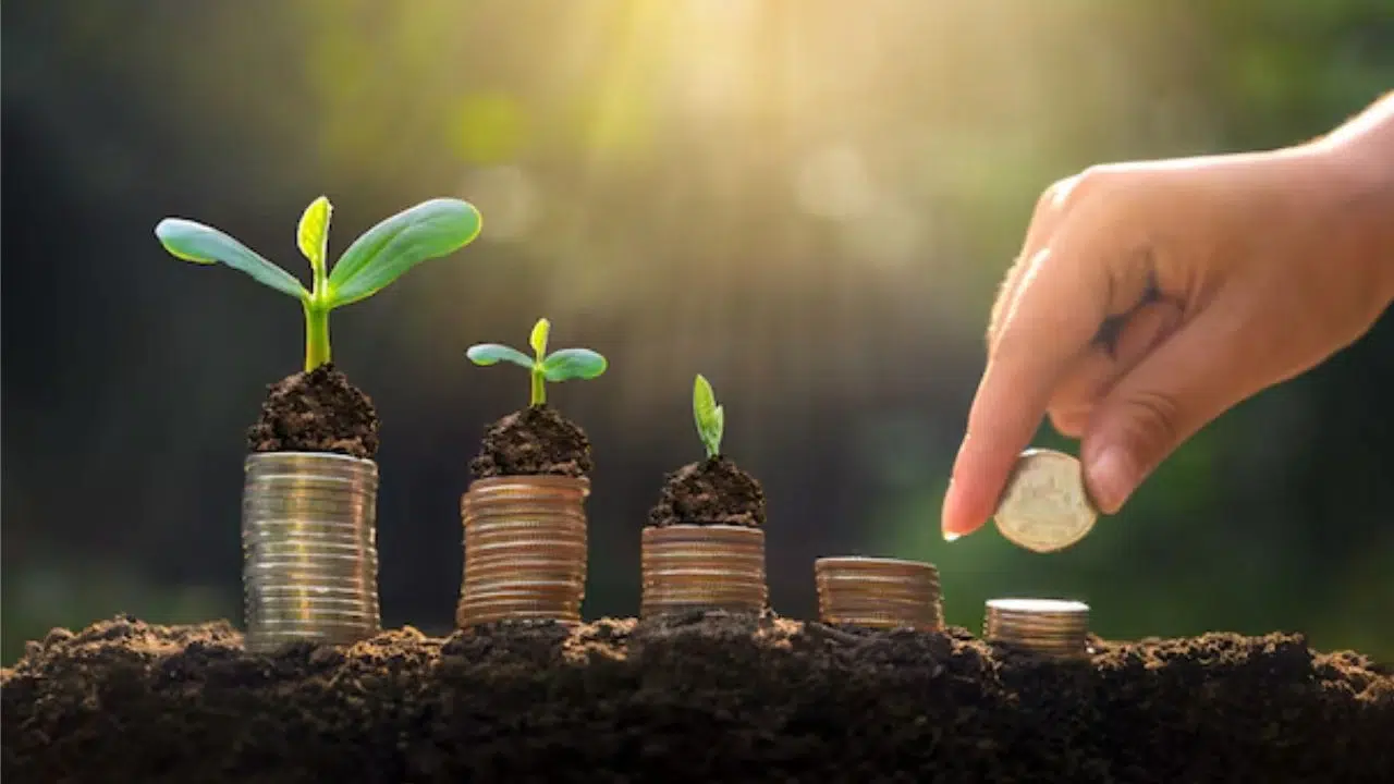 Kasım'da Bunu Yapan 80 Yıl Boyunca Para Kazanıyor!