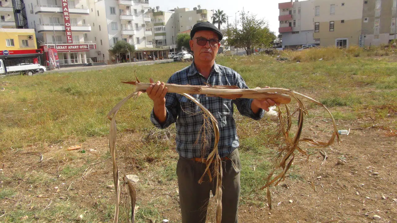 Ali Dayıcık Hissettiği Elektrikle Yer Altı Suyu Buluyor