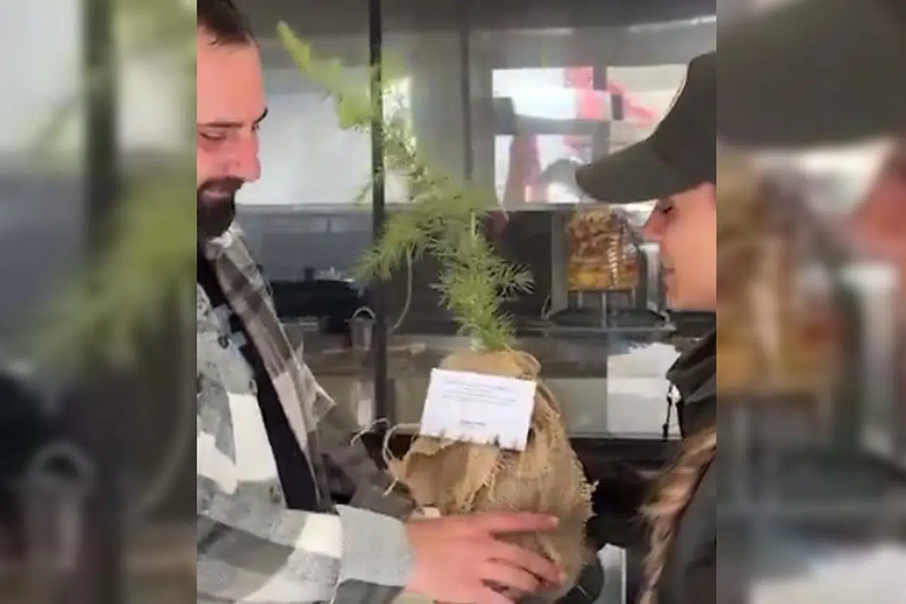 Bakan Yumaklı'dan Bursa mesajı: Yeşil Vatan milyonların kalbinde yeşeriyor