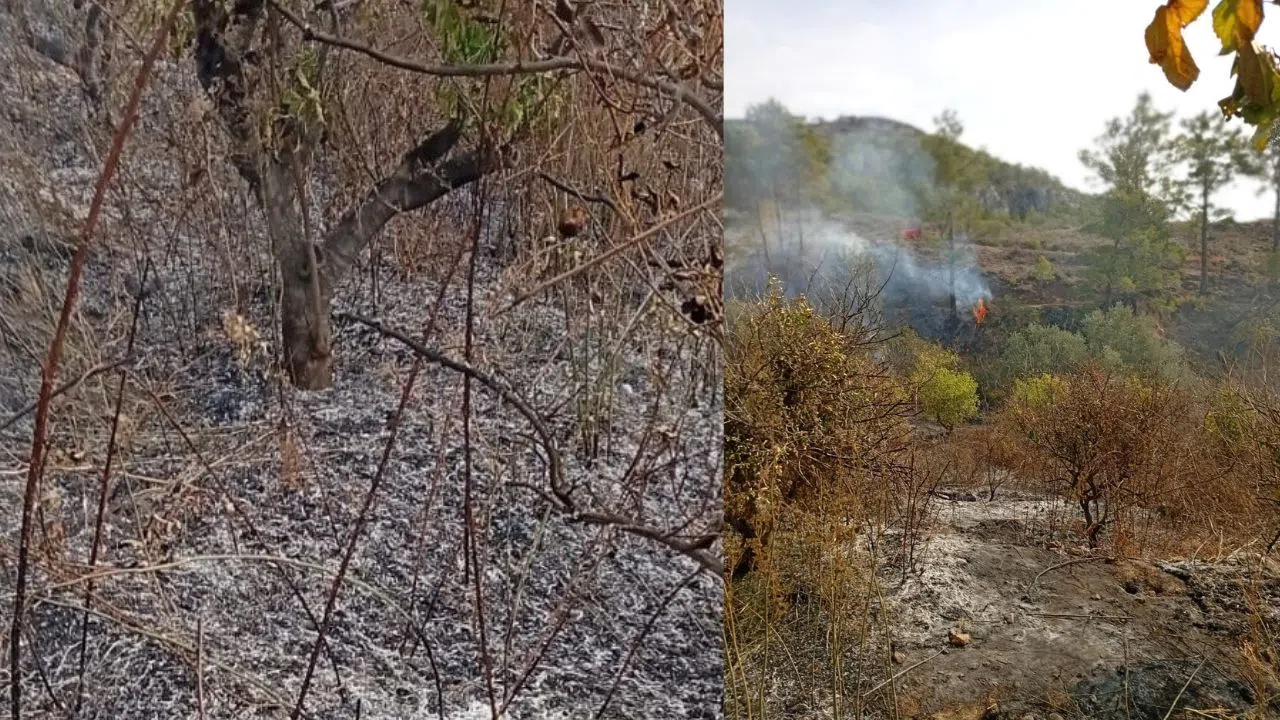 Bahçe Temizliği Facia ile Bitti: Yaşlı Adam Hayatını Kaybetti