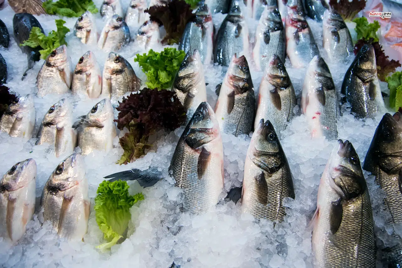 Ege'den Su Ürünlerinde İhracat Rekoru
