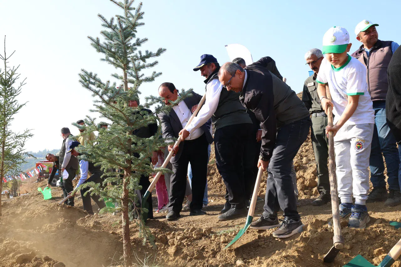 Kahramanmaraş'ta Yangın Bölgesinde Umutlar Yeniden Yeşerdi