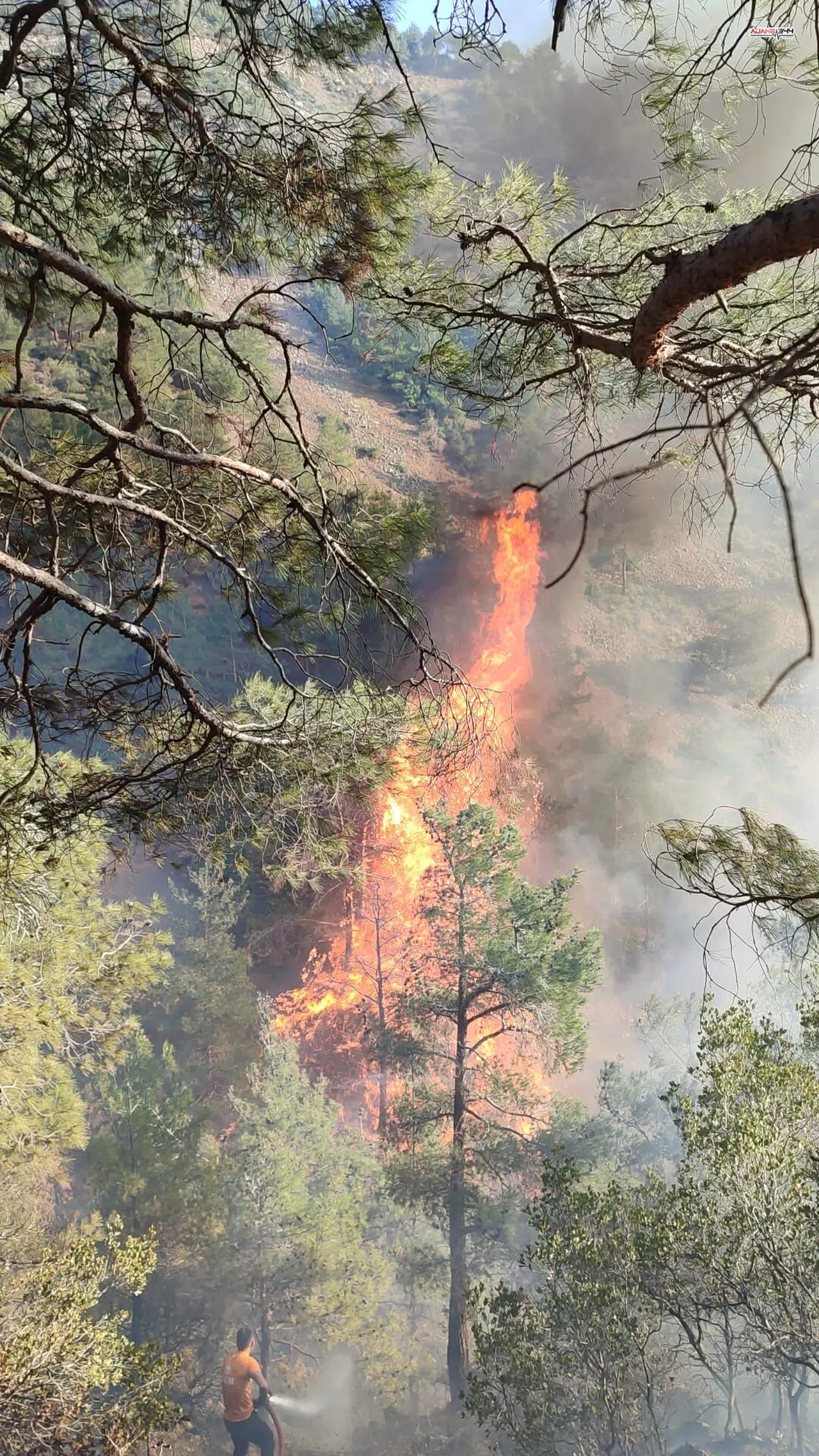 Hatay Belen’de orman yangını: Müdahale ekipleri bölgeye sevk edildi
