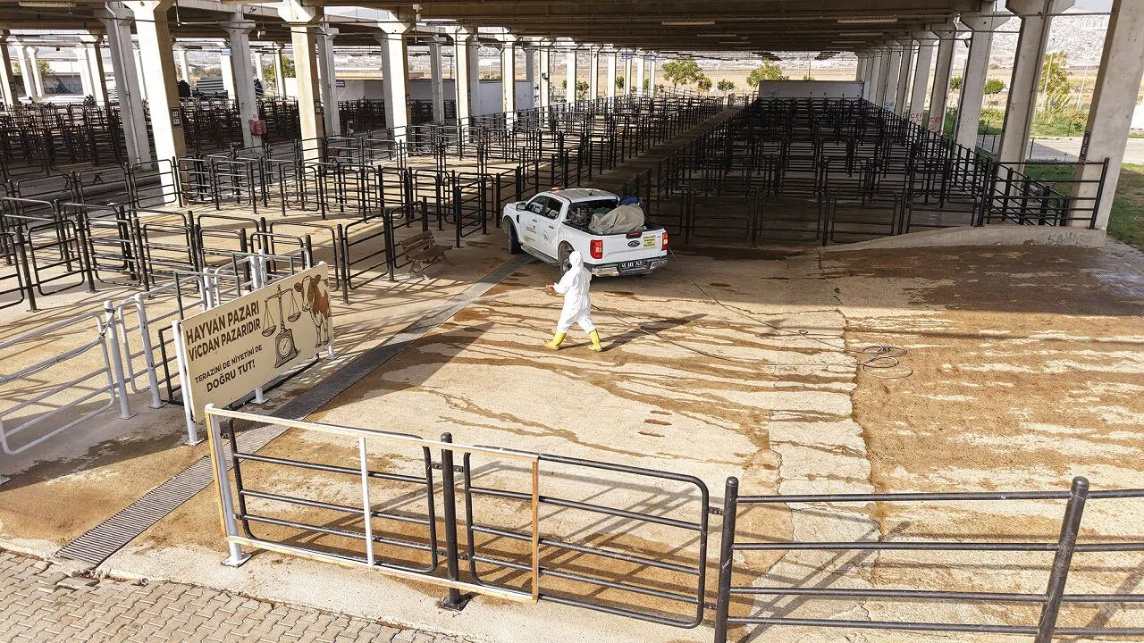 Canlı Hayvan Pazarı'nda Kapsamlı Dezenfeksiyon: Büyükşehir’den Halk Sağlığı Hamlesi