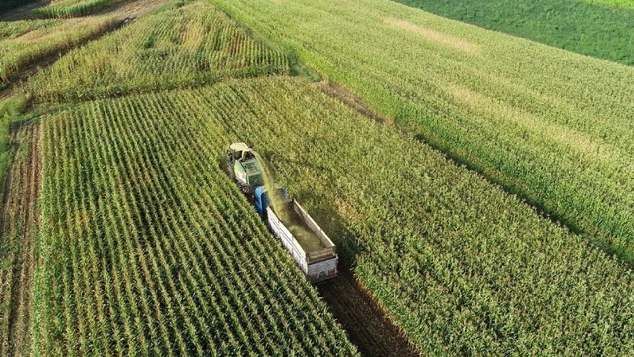 Hükümet kesenin ağzını açıyor! Aile işletmelerine yeni teşvik yolda