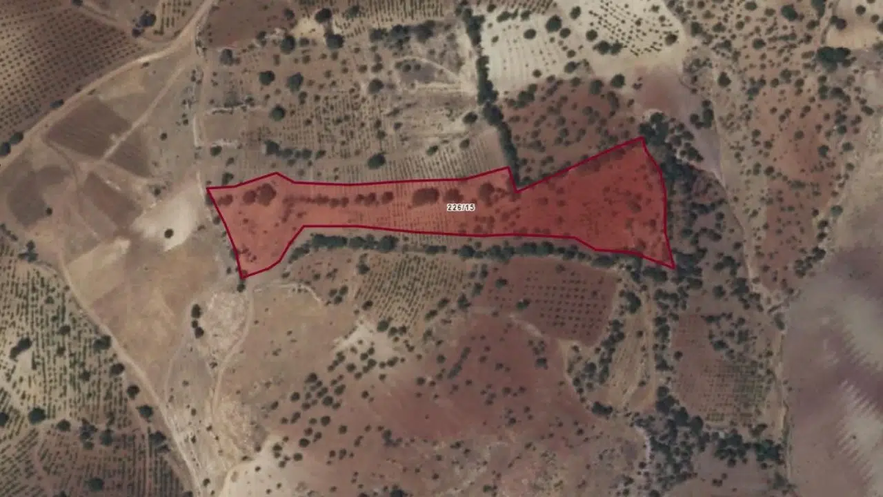 Kahramanmaraş'ta Vasıflı Taşınmaz Satışta Sunulacak