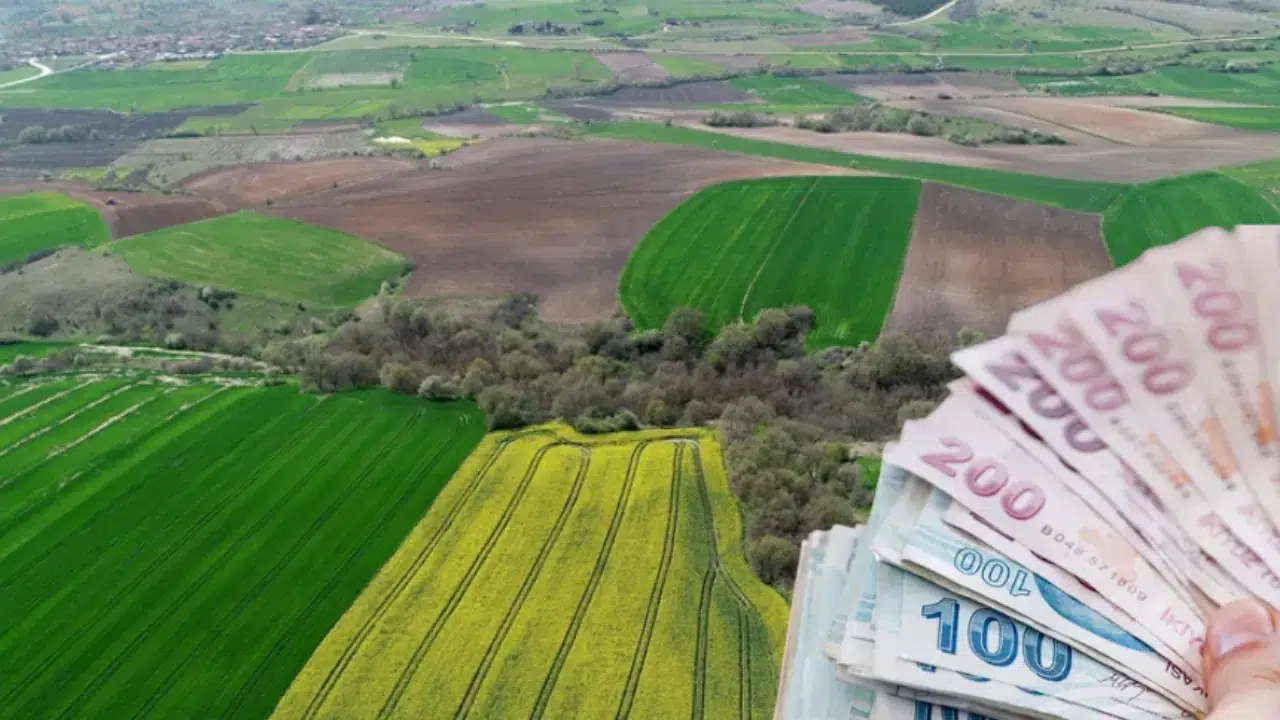 Kahramanmaraş'ta Değerli Arsa Satılacak: İcra Dairesi Bu Fiyatı Bekliyor